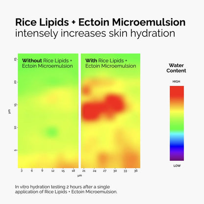 Rice Lipids + Ectoin Microemulsion - US 7013